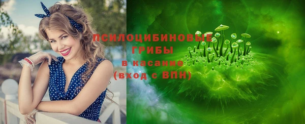 Альфа ПВП Белокуриха