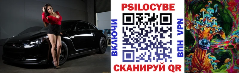 Галлюциногенные грибы Psilocybe  Павловская 