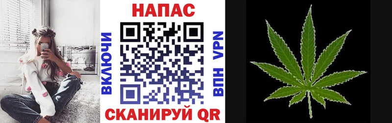 цена наркотик  мега tor  Бошки марихуана сатива  Павловская 